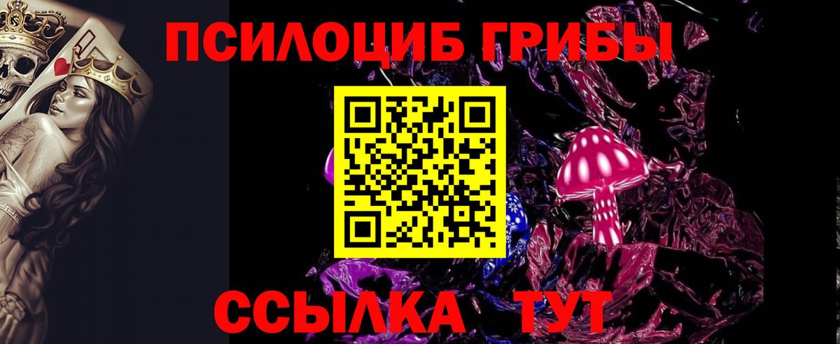 Псилоцибиновые грибы мицелий  Вход с VPN  Пугачёв  Галлюциногенные грибы Cubensis 