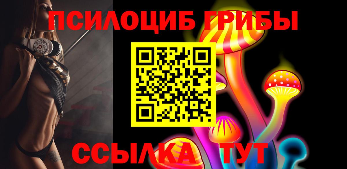 Галлюциногенные грибы Psilocybe Пугачёв